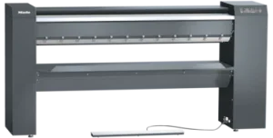 Miele PRI 217 [EL STW] IG